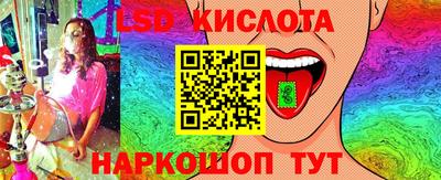 ГАЛЛЮЦИНОГЕННЫЕ ГРИБЫ Кулебаки