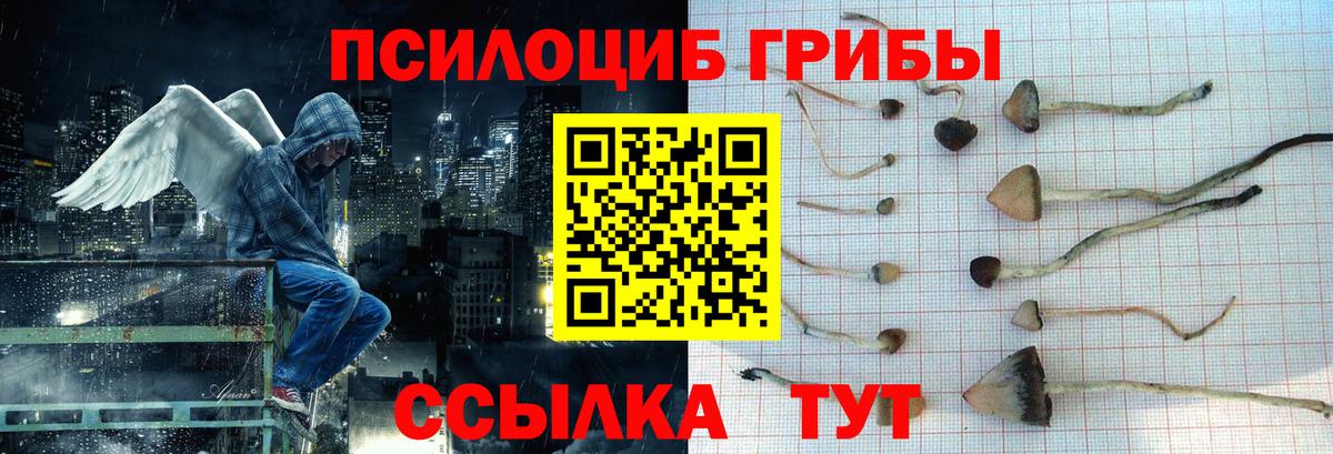 Галлюциногенные грибы Psilocybine cubensis  Псилоцибиновые грибы Psilocybe  Котельники  Вход с VPN 